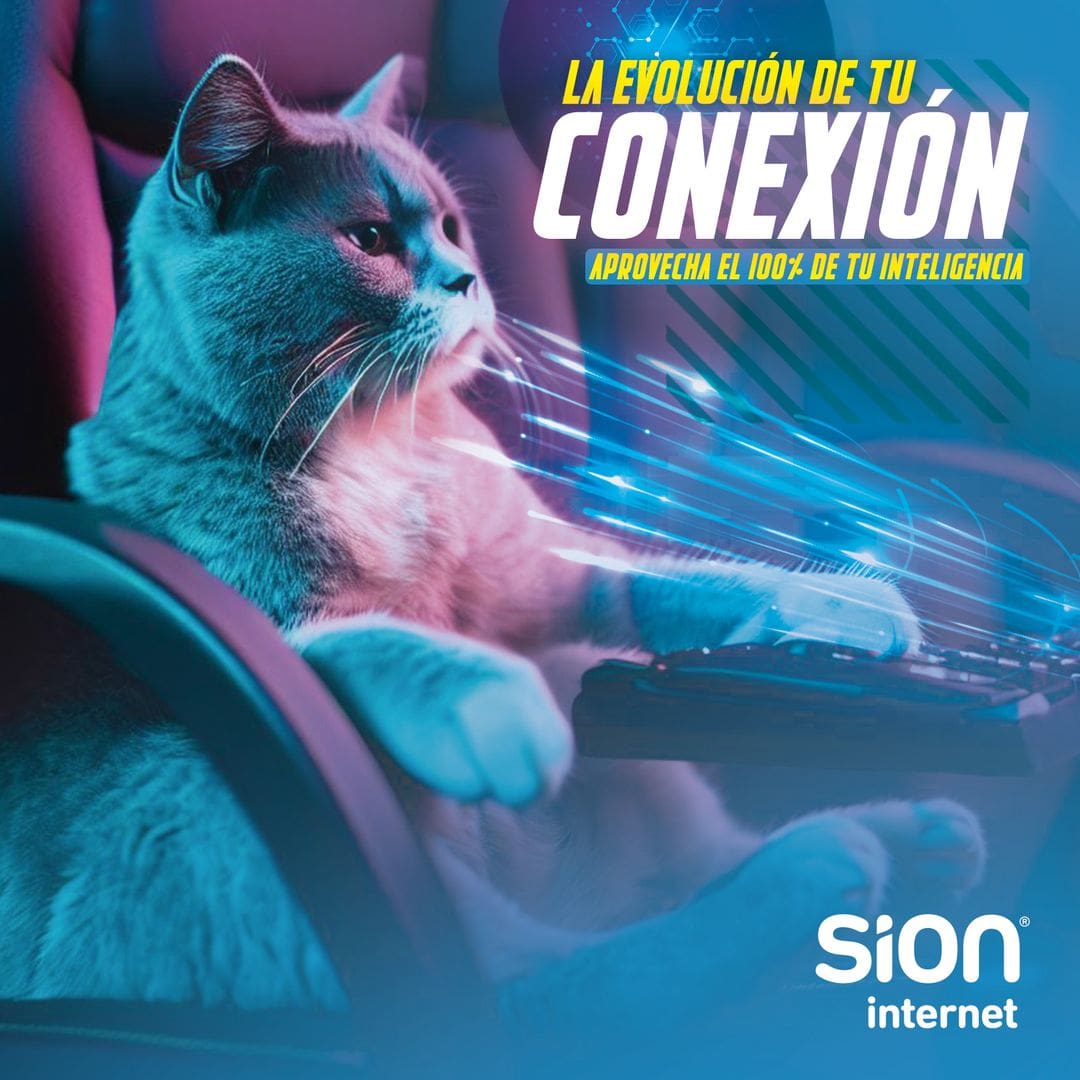 Atención al cliente SION: contacto por teléfono, WhatsApp y redes