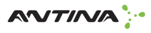 Antina
